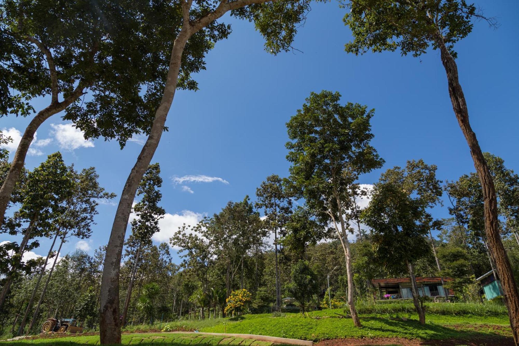 Отель Phu Pha View Doi Samoeng Экстерьер фото