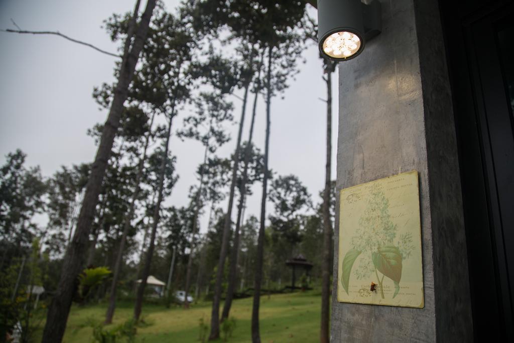 Отель Phu Pha View Doi Samoeng Экстерьер фото