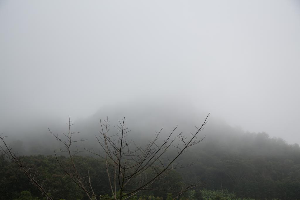 Отель Phu Pha View Doi Samoeng Экстерьер фото